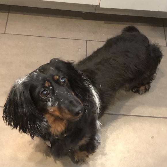 Meet your Posher, Maria - Picture 1 of 1